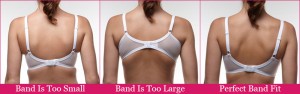 A good fitting bra can help your back