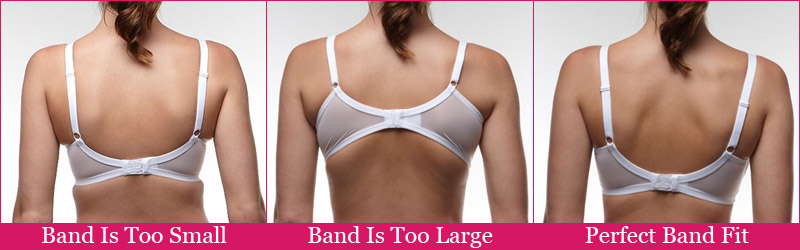 A good fitting bra can help your back