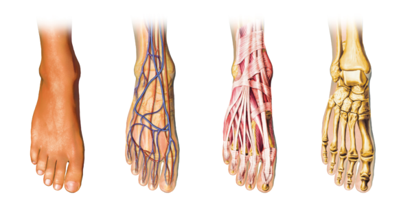 New Surgical techniques for feet