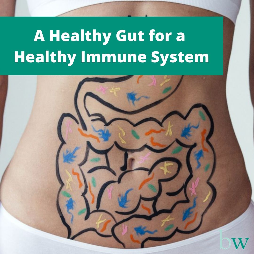Healthy Gut Healthy Immune System